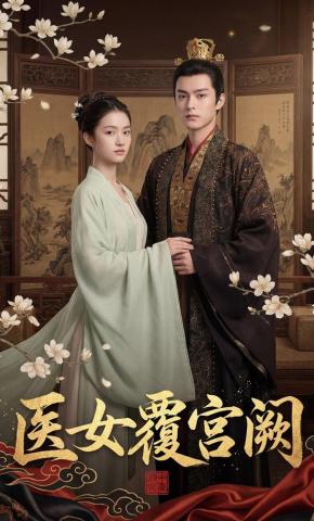 短剧《医女覆宫阙》海报