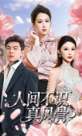 短剧《人间不识真风骨》海报