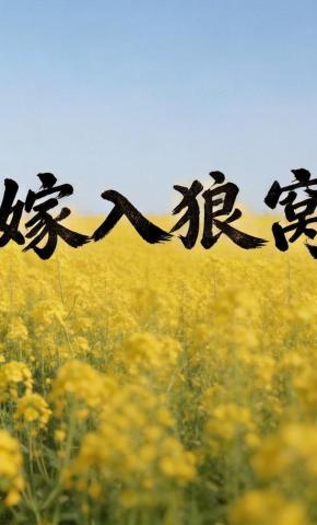 短剧《嫁入狼窝》海报