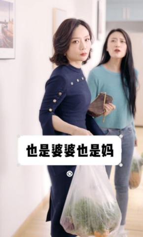 短剧《也是婆婆也是妈》海报