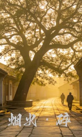短剧《烟火碎》海报