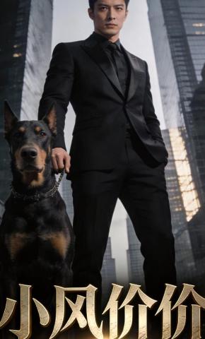 短剧《小风价价》海报
