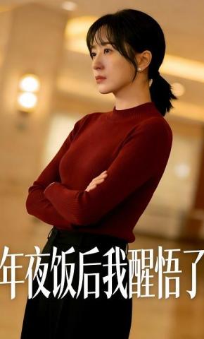 短剧《年夜饭后我醒悟了》海报