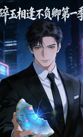 短剧《碎玉相逢不负卿第一季》海报