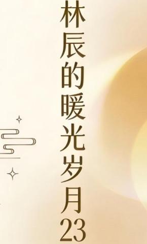 短剧《林辰的暖光岁月23》海报