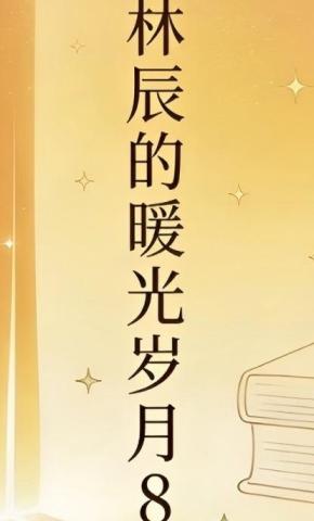 短剧《林辰的暖光岁月8》海报