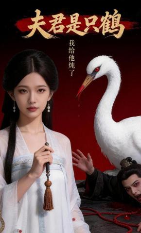 短剧《夫君是只鹤，我给他炖了》海报