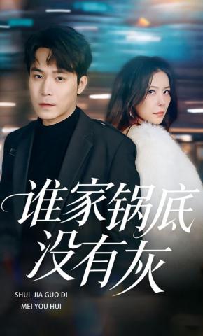 短剧《谁家锅底没有灰》海报