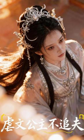 短剧《虐文公主不追夫》海报