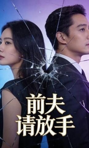 短剧《前夫请放手》海报