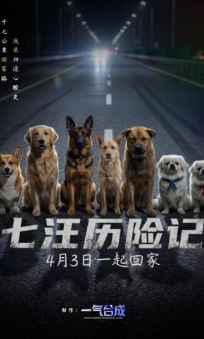 短剧《七汪历险记》海报