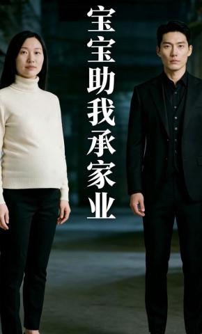 短剧《宝宝助我承家业》海报
