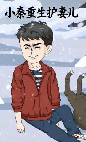 短剧《小秦重生护妻儿》海报