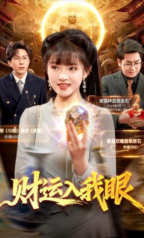 短剧《财运入我眼》海报