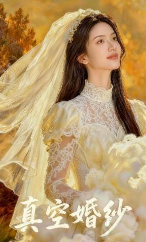 短剧《真空婚纱》海报