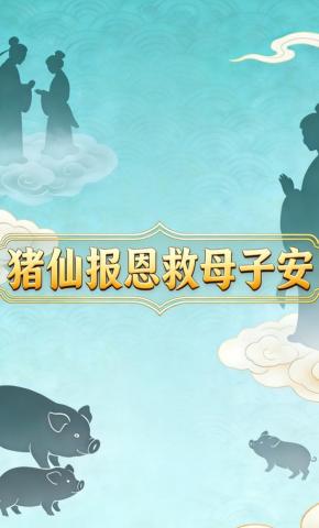 短剧《猪仙报恩救母子安》海报