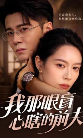 短剧《我那眼盲心瞎的前夫》海报