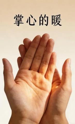 短剧《掌心的暖》海报