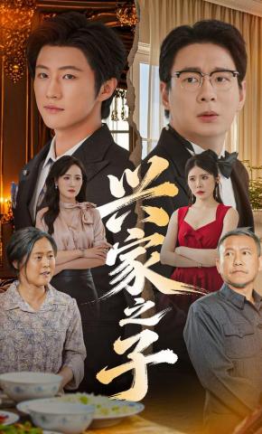 短剧《兴家之子》海报