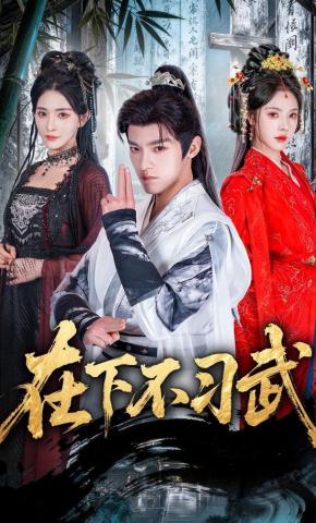 短剧《在下不习武》海报