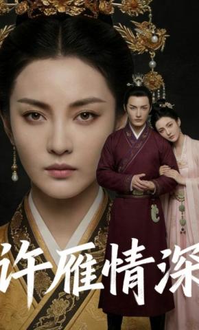 短剧《许雁情深》海报