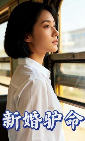 短剧《新婚驴命》海报