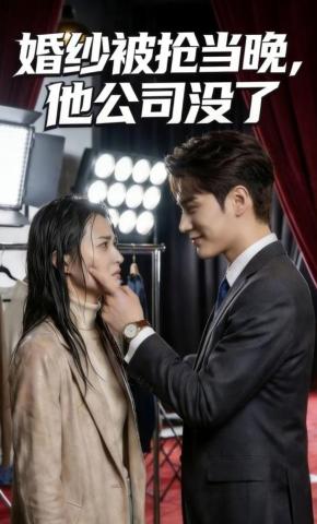 短剧《婚纱被抢当晚，他公司没了》海报