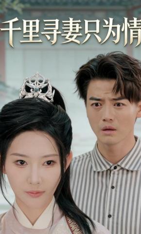 短剧《千里寻妻只为情》海报