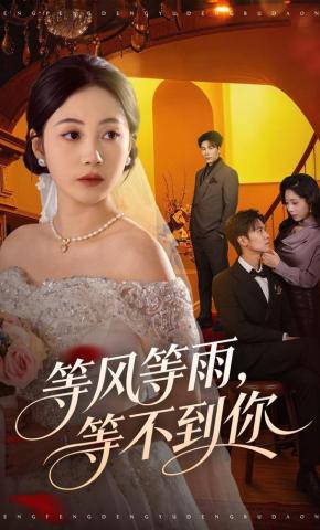 短剧《等风等雨，等不到你》海报