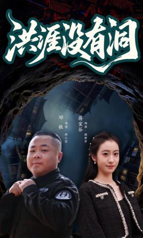 短剧《洪涯没有洞》海报