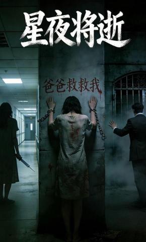 短剧《星夜将逝》海报