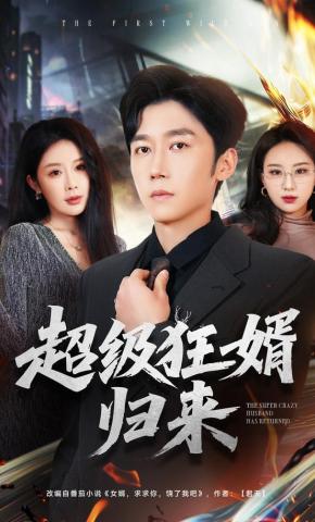 短剧《超级狂婿归来》海报