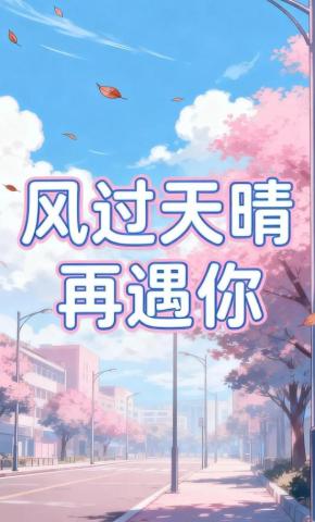 短剧《风过天晴再遇你》海报