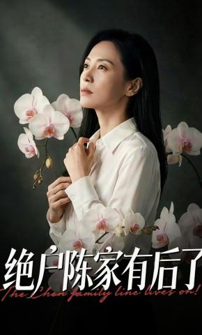 短剧《绝户陈家有后了》海报