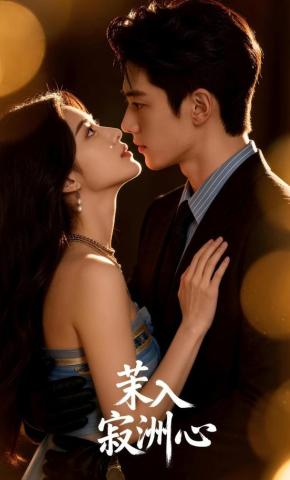 短剧《茉入寂洲心》海报