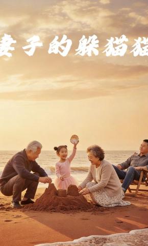 短剧《妻子的躲猫猫》海报