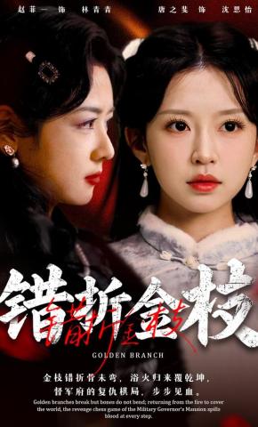 短剧《错折金枝》海报