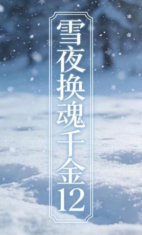 短剧《雪夜换魂千金12》海报