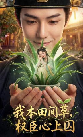 短剧《我本田间草，权臣心上囚》海报