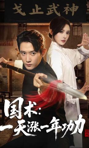 短剧《国术，一天涨一年功力》海报