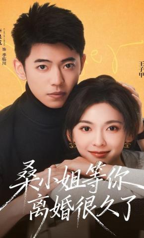 短剧《桑小姐，等你离婚很久了》海报