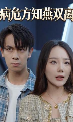 短剧《病危方知燕双离》海报