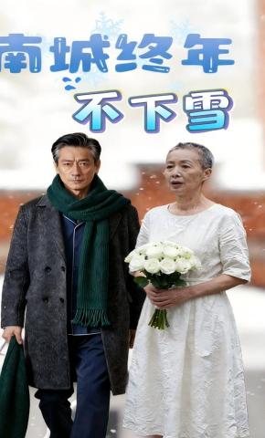 短剧《南城终年不下雪》海报