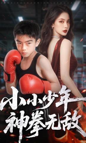 短剧《小小少年，神拳无敌》海报