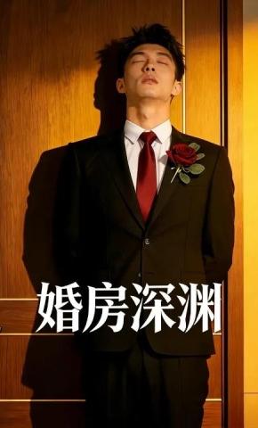 短剧《婚房深渊》海报