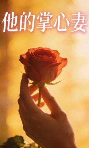 短剧《他的掌心妻》海报