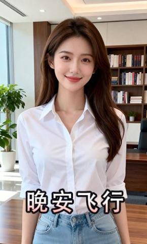 短剧《晚安飞行》海报