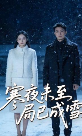 短剧《寒夜未至局已成雪》海报