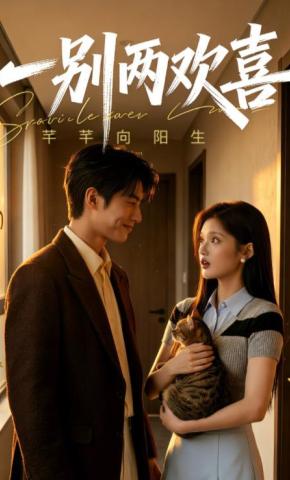 短剧《一别两欢喜》海报