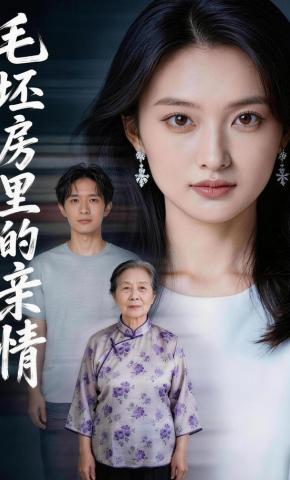 短剧《毛坯房里的亲情》海报